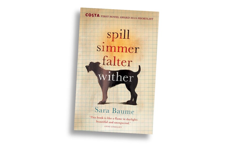 100 best Irish books of the 21st century - Spill Simmer Falter Wither by Sara Baume